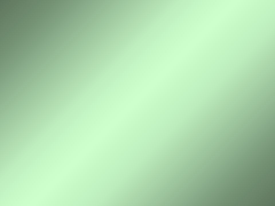 Язык и речь_22.11.11.