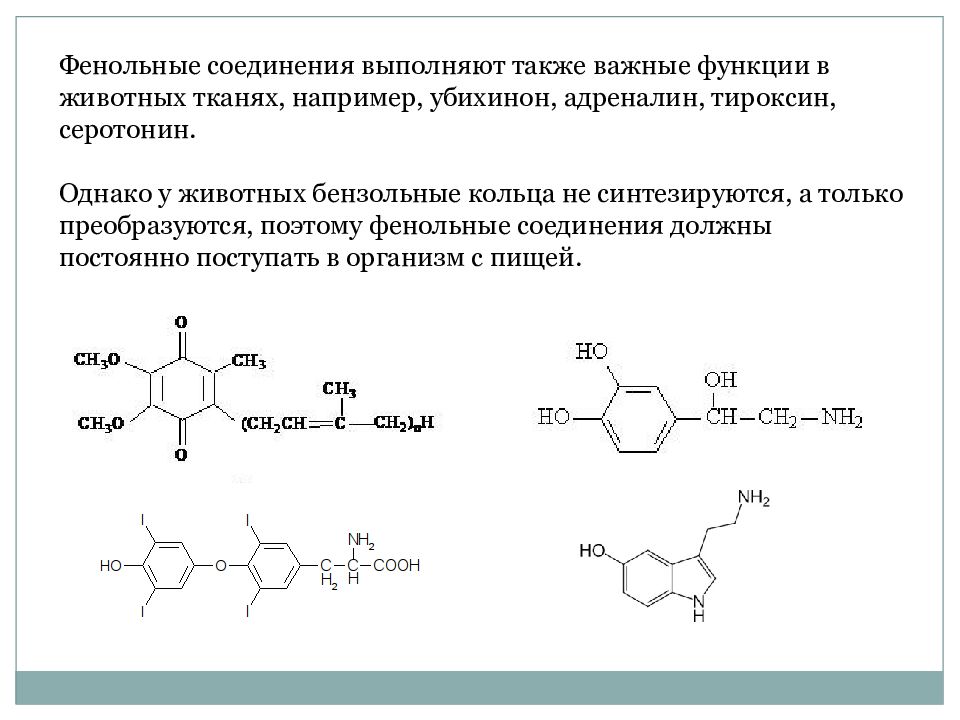 Фенольные соединения фото