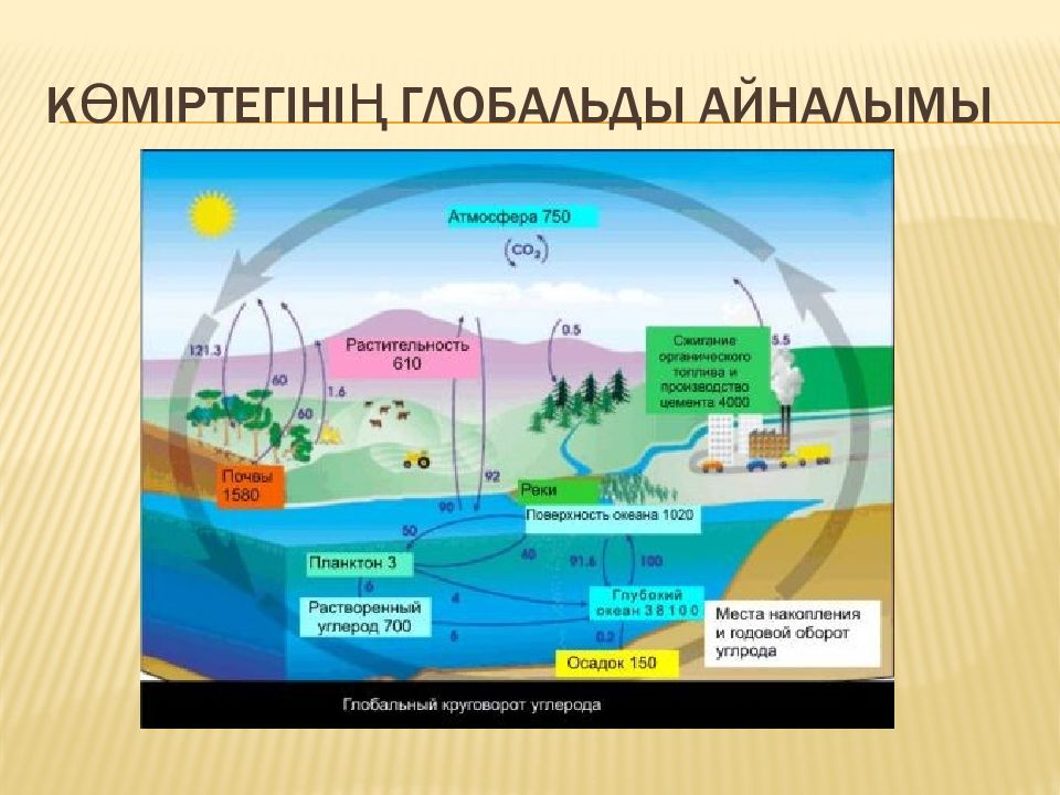 Табиғаттағы заттар айналымы 5 сынып жаратылыстану