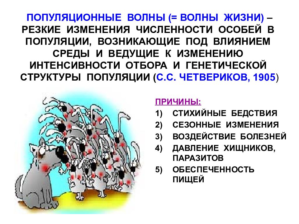 Какой фактор эволюции иллюстрирует рисунок. Четвериков популяционные волны. Волны жизни популяционные волны. Факторы эволюции популяционные волны. Популяционные волны это в биологии.