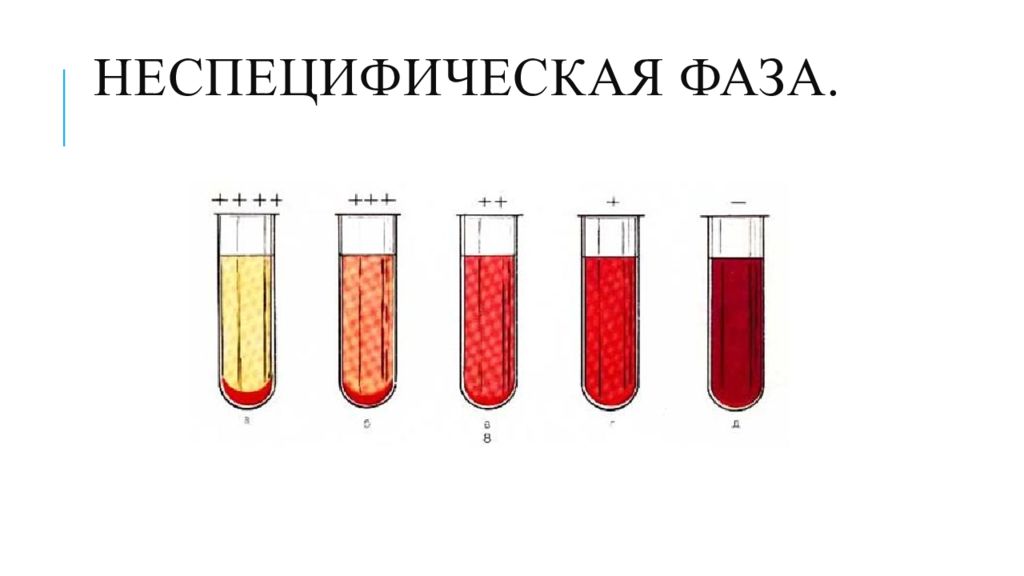 Серологический метод презентация