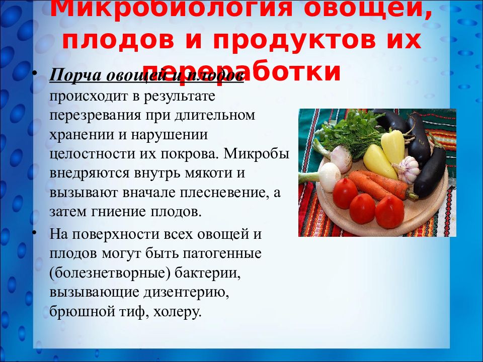 Вызывает порчу пищевых продуктов. Микробиология овощей плодов и продуктов их переработки. Микробиология и санитария пищевых продуктов. Микробиология овощей. Микробиология овощей и плодов кратко.