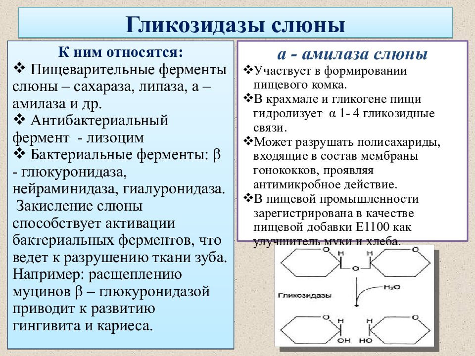 Презентация биохимия полости рта