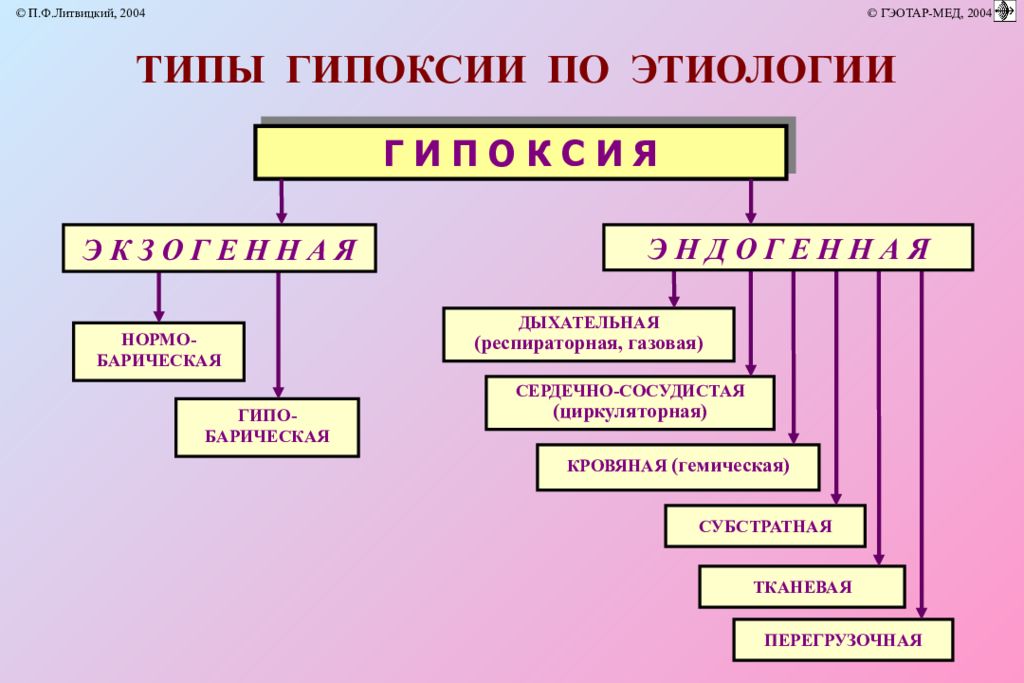 Гипоксию относят к. Классификация гипоксии схема. Виды гипоксии. Классификация типов гипоксии. Классификация гипоксии патоф.