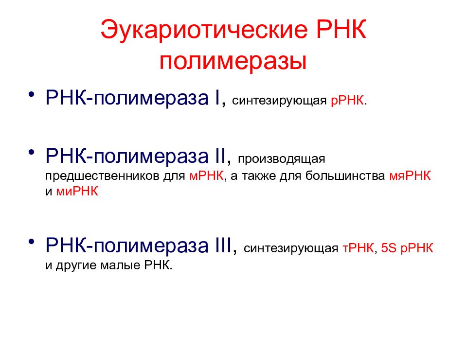 Рнк полимераза 3 синтезирует. Репарация это в медицине.