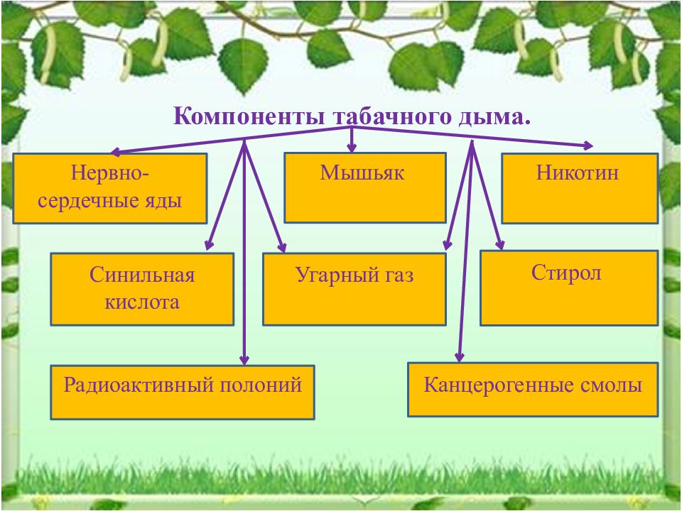 Социальная экология презентация