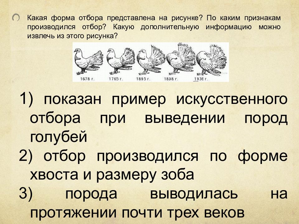 Какая форма отбора представлена на рисунке по каким признакам производился отбор 1678