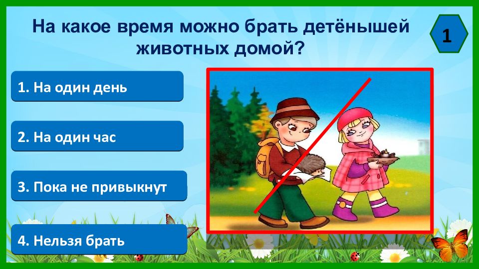 4 невозможно. Знак не бери домой детенышей зверей. Знак нельзя брать животных домой. Знак не забирайте детенышей. Нельзя забирать детенышей домой из леса.