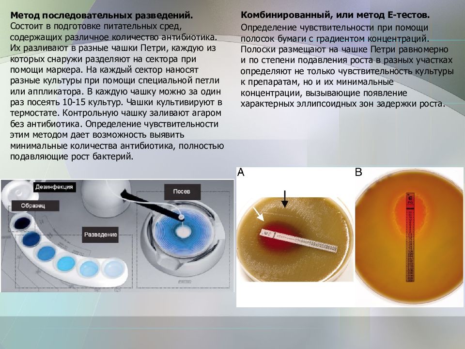 Методы определения чувствительности бактерий к антибиотикам схема