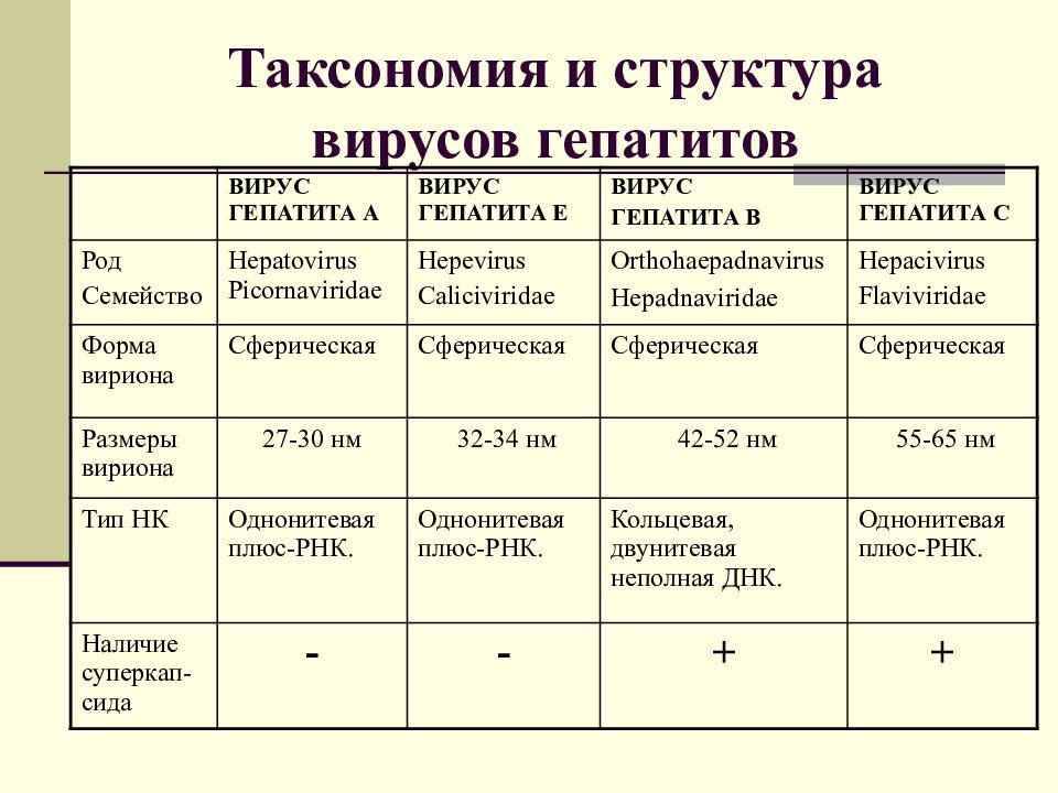 вирусы гепатитов таблица. хронический гепатит b диф диагноз. вирусные гепатиты характеристика. характеристика вирусов гепатитов. гепатит а и б дифференциальный диагноз.