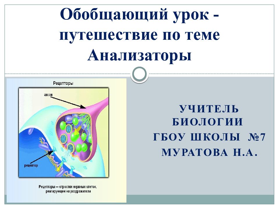 Анализаторы презентация урок