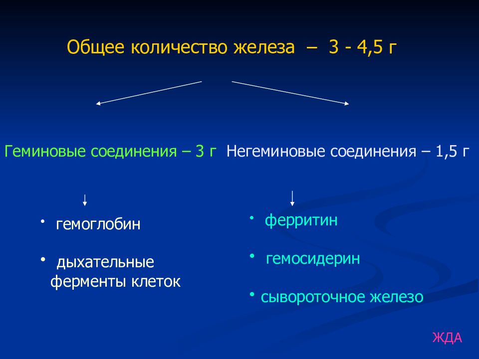 Железа число. Геминовые ферменты. Негеминовое железо. Белки, содержащие негеминовое железо.. Геминовый фермент это.