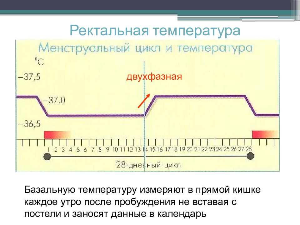 Какая ректальная температура. Измерение базальной температуры. Ректальное измерение температуры. Как измерить базальную температуру. Измерение базальной (ректальной) температуры.