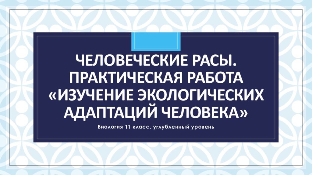 Человеческие расы. Практическая работа «Изучение экологических адаптаций человека»