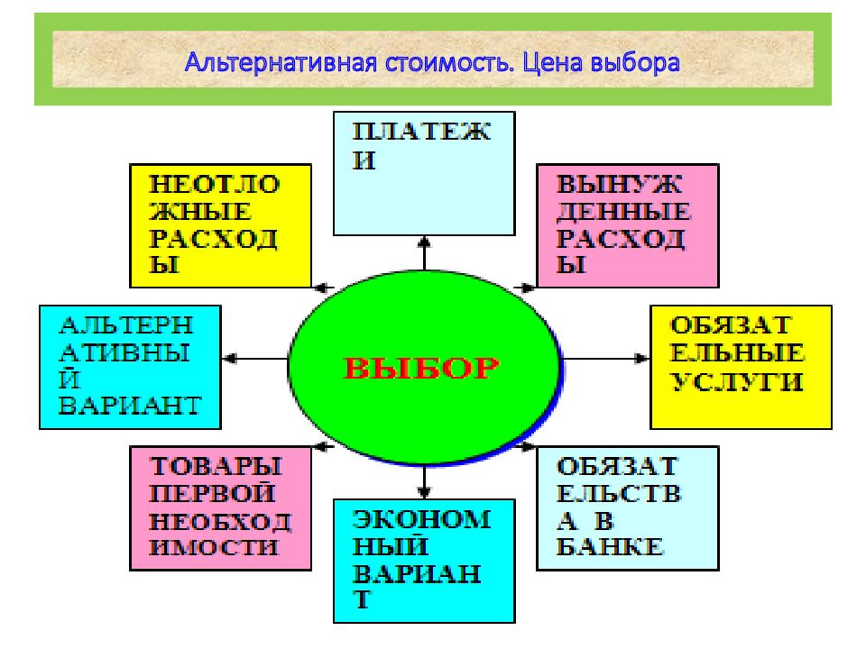 Образы жизни обществознание