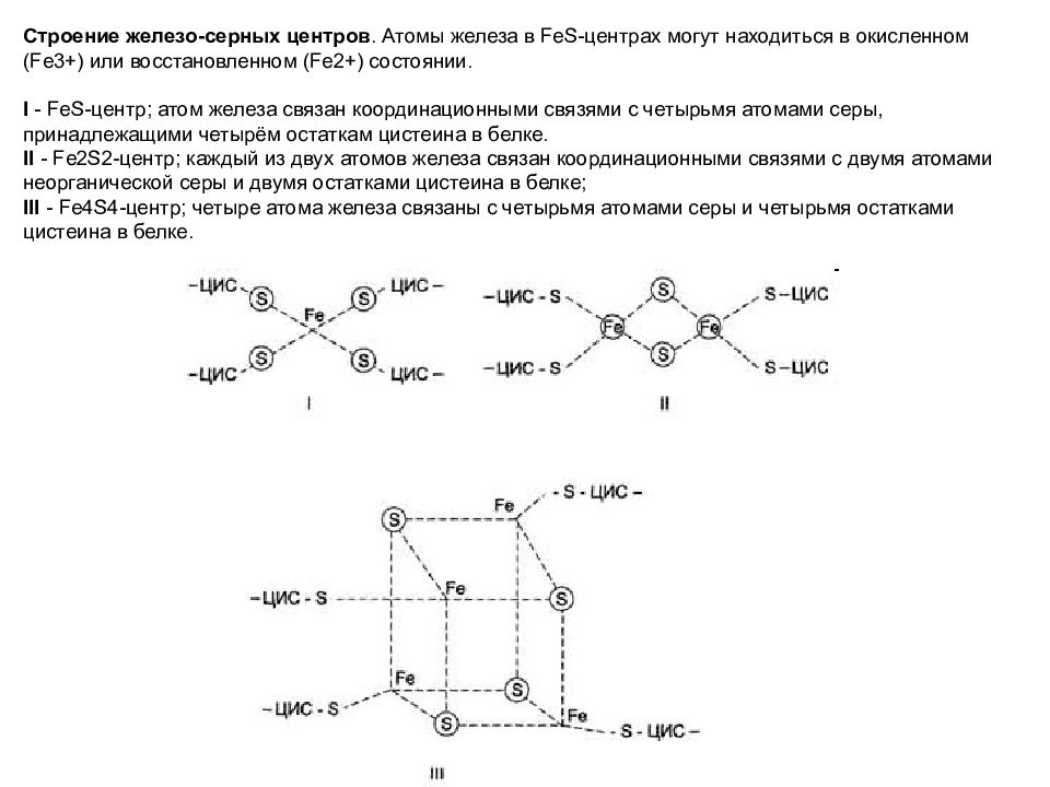 Строение железа. Атомарная структура железа. Железо строение. Строение железосерных центров. Атом железа.