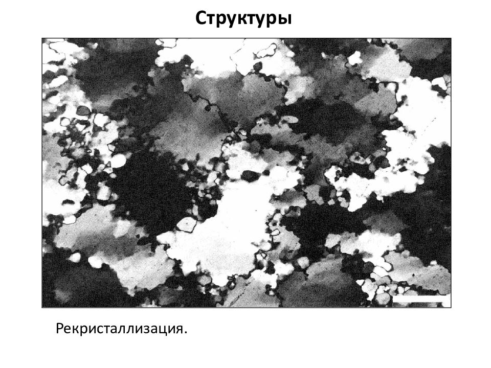 Текстуры метаморфических пород