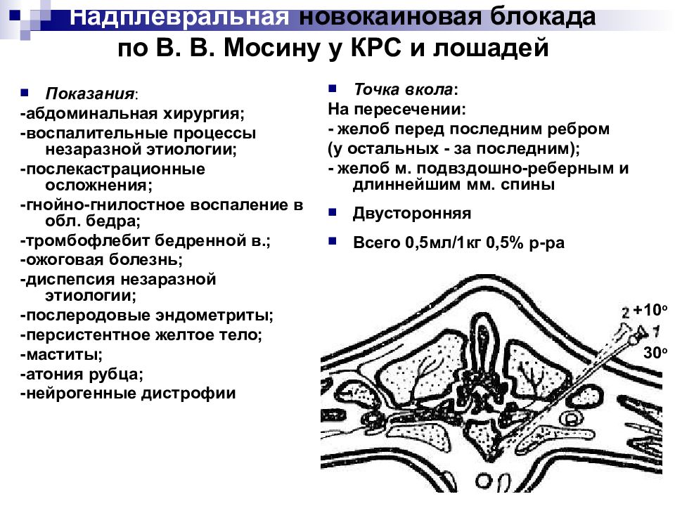 Новокаиновая блокада. Новокаиновая блокада по Мосину КРС. Надплевральная новокаиновая блокада по Мосину. Надплевральная блокада по в.в Мосину. Схема надплевральной новокаиновой блокады по Мосину.