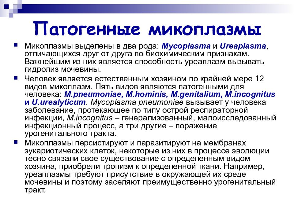 Микоплазма. Патогенные микоплазмы микробиология. Микоплазм микробиология патогенез. Патогенные виды микоплазм. Микоплазмы условно патогенные микроорганизмы.