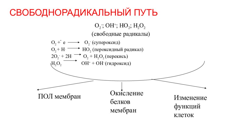 Окисление белков. Свободнорадикальный путь. Свободнорадикальные пути окисления. Свободнорадикальный путь использования кислорода. Свободнорадикальный путь биологического окисления.