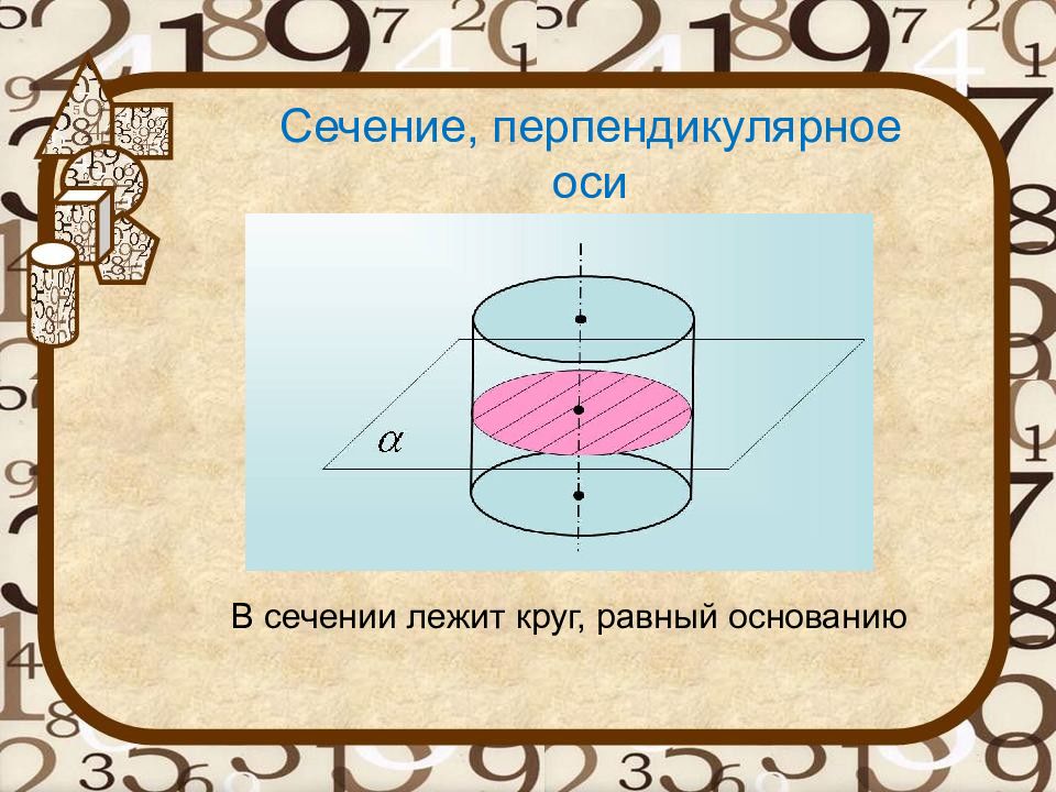 Сечение перпендикулярное оси. Перпендикулярное сечение цилиндра. Сечение перпендикулярно оси цилиндра. Сечение цилиндра перпендикулярное оси цилиндра.