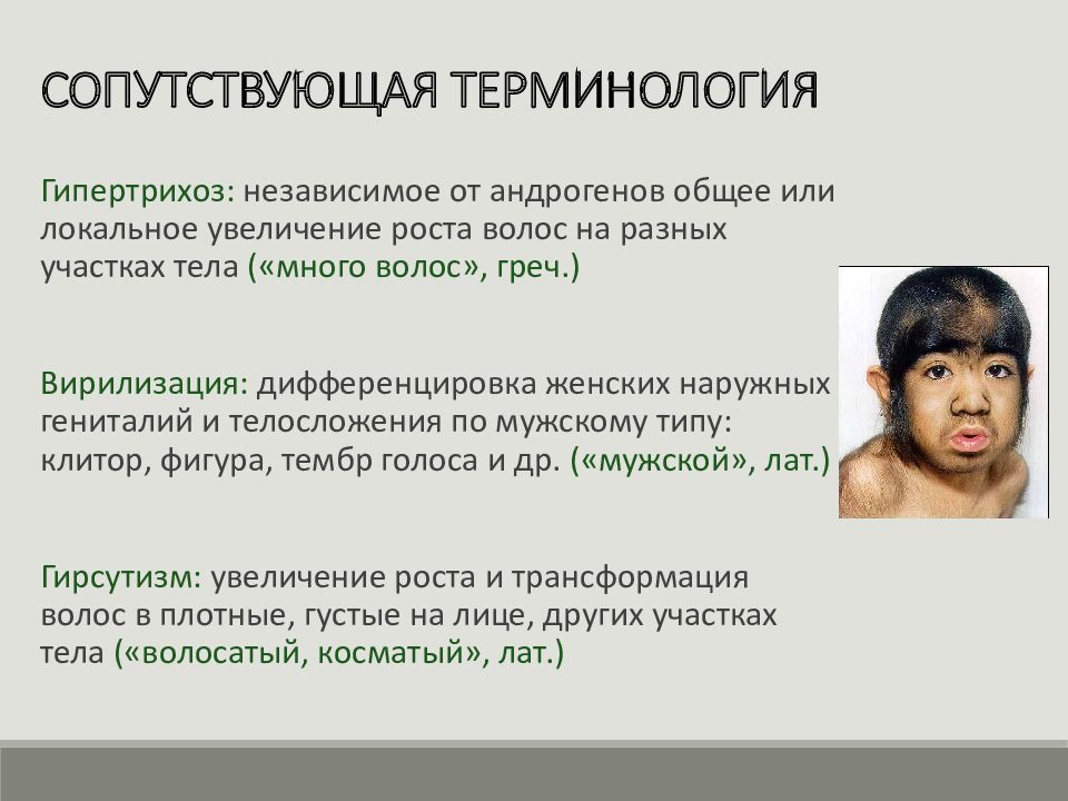 Голандрический тип наследования заболевания. Гипертрихоз ушных раковин y сцепленный признак. Голандрическое наследование признаков. Наследование сцепленное с полом гипертрихоз. Голандрический тип наследования болезни.