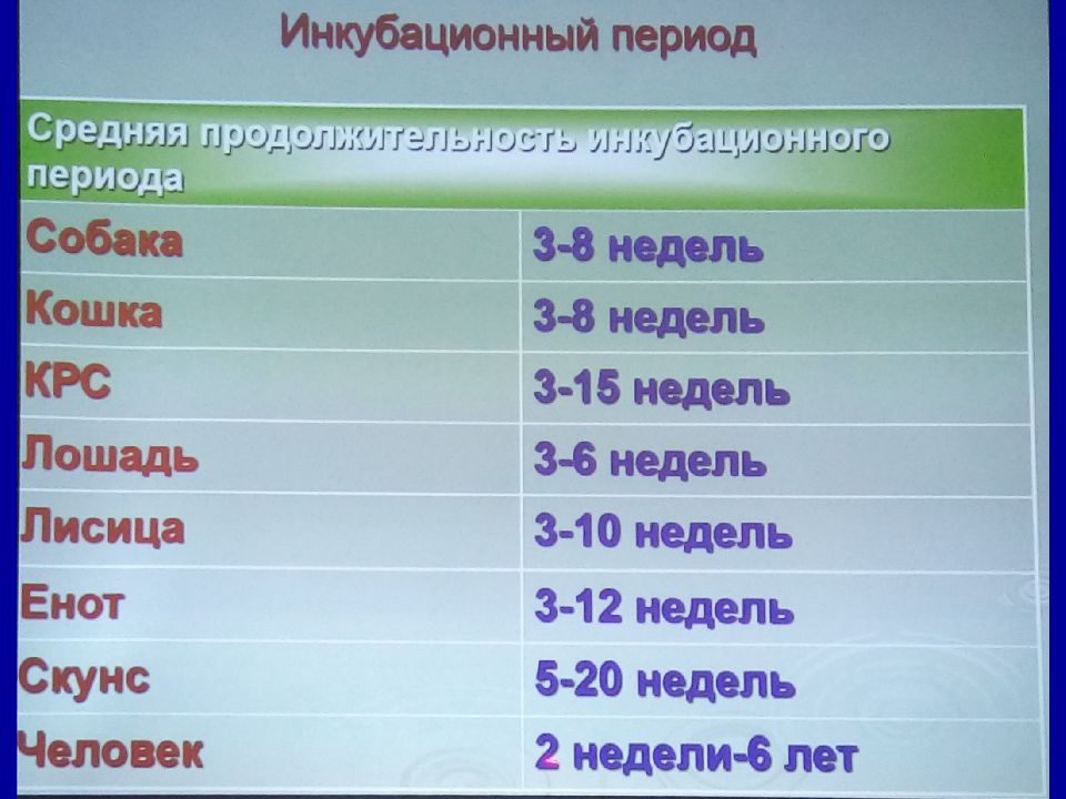 Сколько людей умерло от бешенства. Статистика смертей от бешенства в Грузии. Количество погибших от бешенства в России в год.