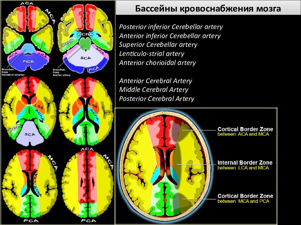 Зоны кровоснабжения мозговых артерий кт. Бассейн передней мозговой артерии. Бассейн задней мозговой артерии схема. Бассейны мозговых артерий на кт.