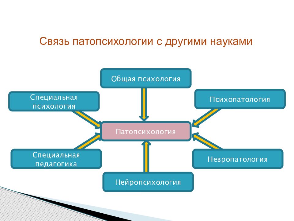 Связь психологии с другими науками. Связь невропатологии с другими науками схема. Патопсихология связь с науками. Связь клинической психологии с другими науками схема. Структура клинической психологии схема.