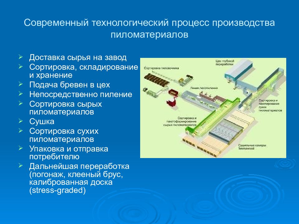 Технологический процесс древесины