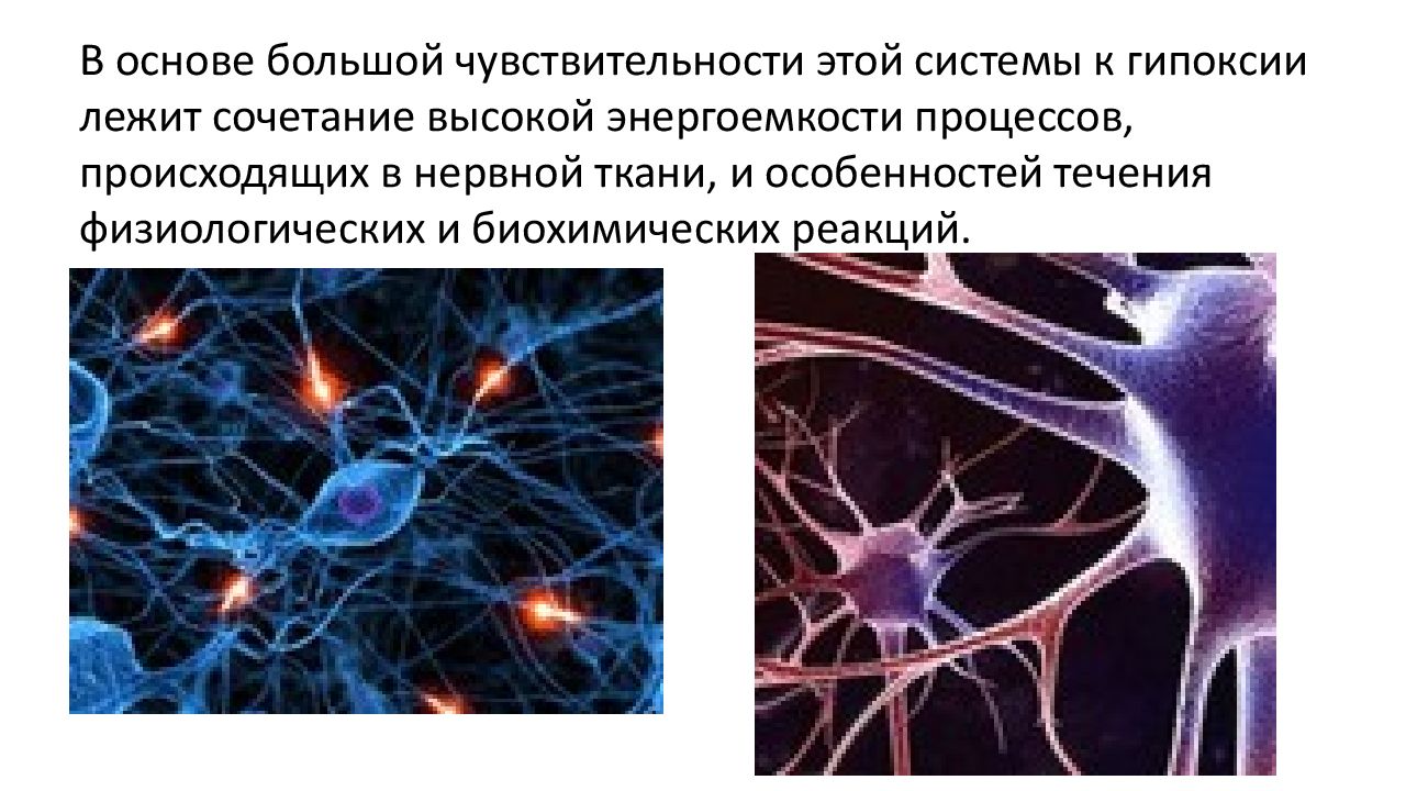 Больше основа. Патогенез постреанимационной болезни. Гипоксия нервной ткани. Высокая чувствительность к гипоксии. Постреанимационная болезнь особенности этиологии патогенеза.