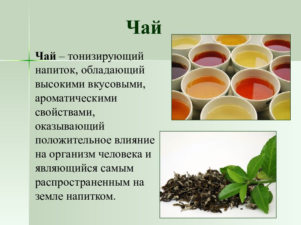 Чай напиток виды. Ассортимент чая Товароведение. Ассортимент чая и чайных напитков. Основные характеристики чая. Вкусовые характеристики чая.