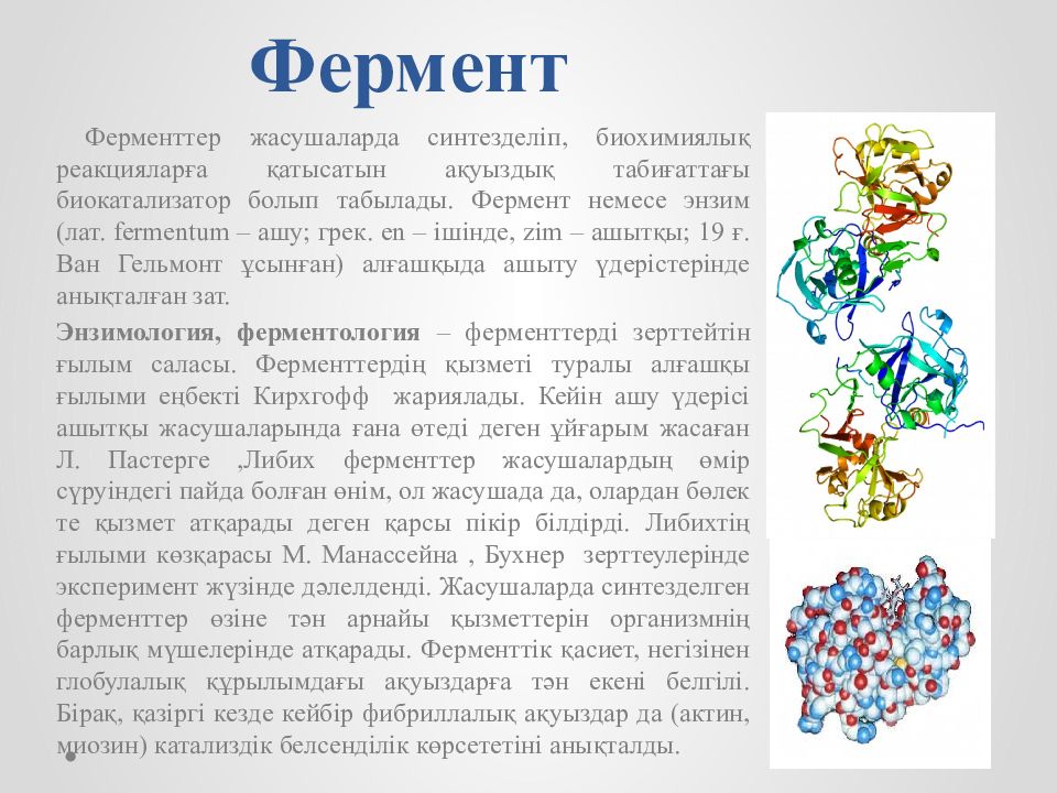 Растительные ферменты. Фермент деген. Ферменты химия доклад. Ферменты дуба. Фермент счастья.