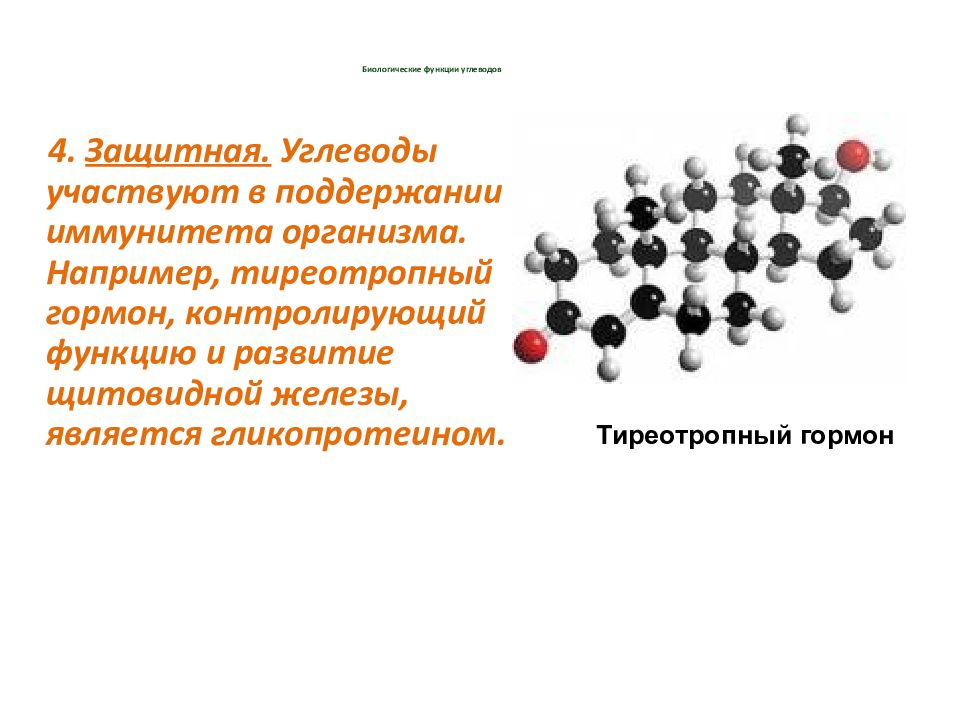 Биологическая роль углеводов презентация