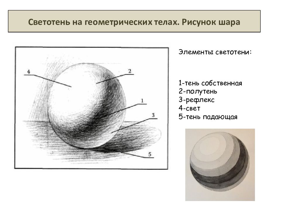 Академический рисунок светотень