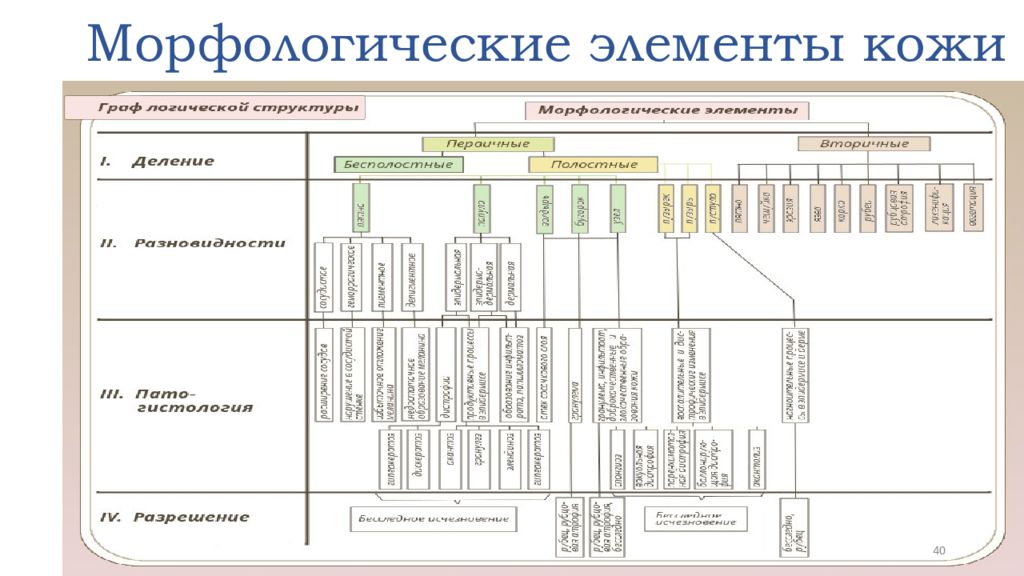 Первичные элементы. Первичные и вторичные морфологические элементы кожи. Первичные морфологические элементы кожи Дерматовенерология. Первичные морфологические элементы кожи классификация. Вторичные морфологические элементы кожи классификация.