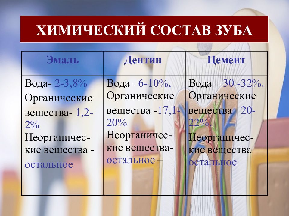 Химический состав человека. Химический состав зуба. Биохимия минерализованных тканей зуба. Химический состав эмали. Состав эмали зуба.