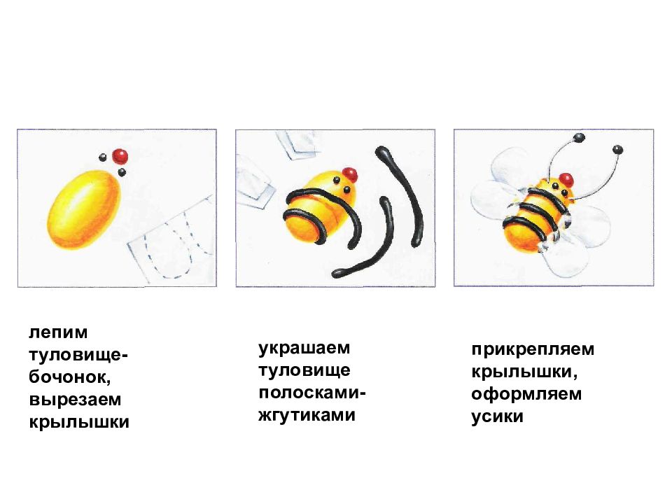 Насекомые из пластилина для дошкольников пошагово картинки