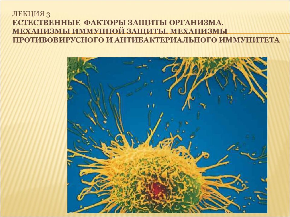 Естественные системы защиты организма презентация