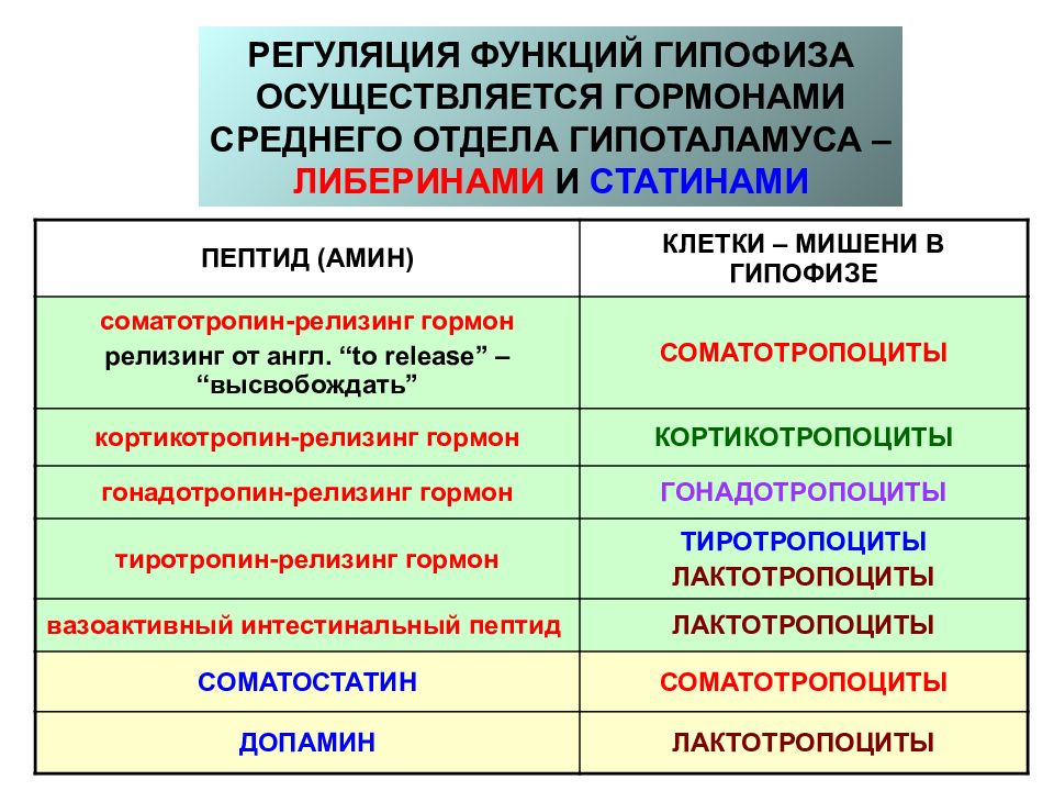 Регуляция функций. Регуляция функций гипофиза. Регуляция гормонов гипофиза. Регуляция секреции гормонов гипофиза. Регуляция функций аденогипофиза.