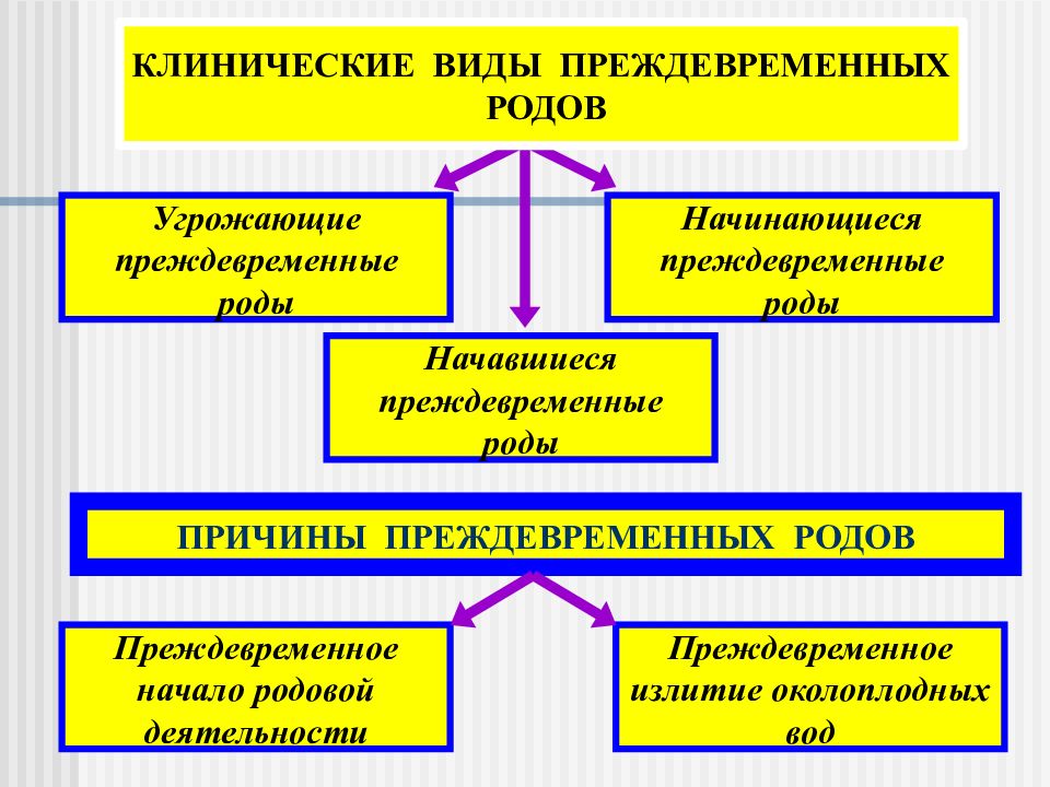 Клинической картиной начинающихся преждевременных родов является тест