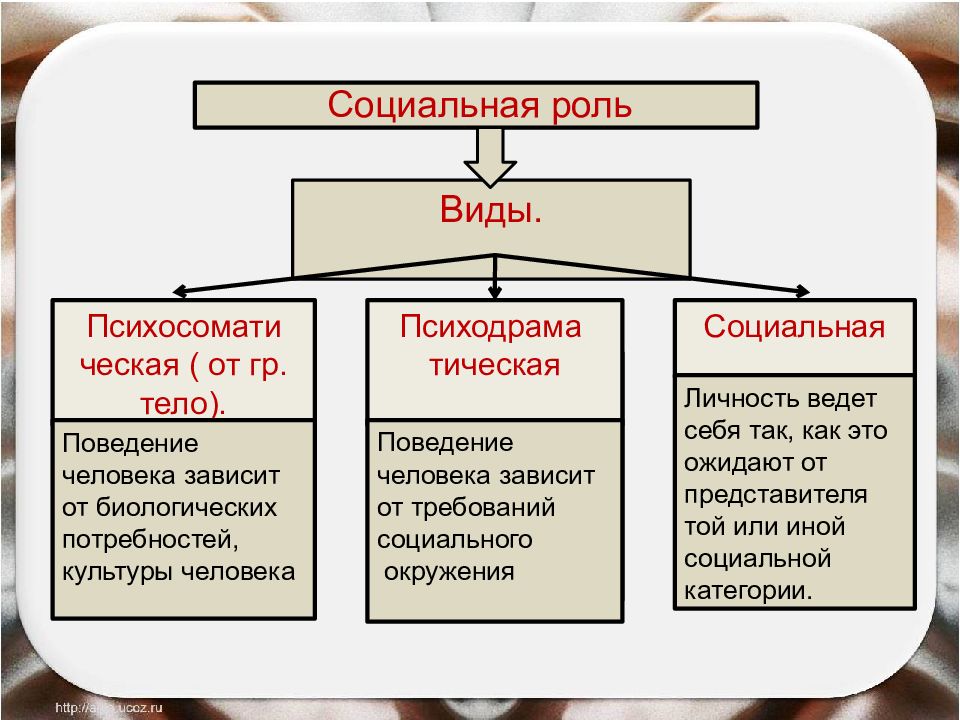 План по теме социальные статусы и социальные роли