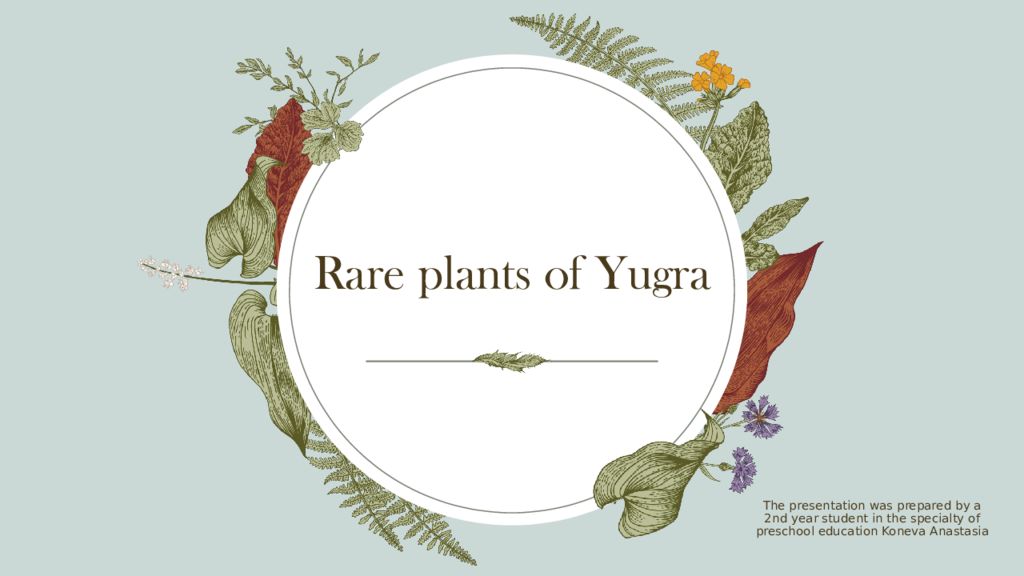 Rare plants of Yugra
