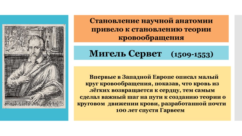 Ученый западной европы. Мигель Сервет (1509–1553). Медицина в Западной Европе в эпоху Возрождения. Становление научной анатомии. Мигель Сервет кровообращение.