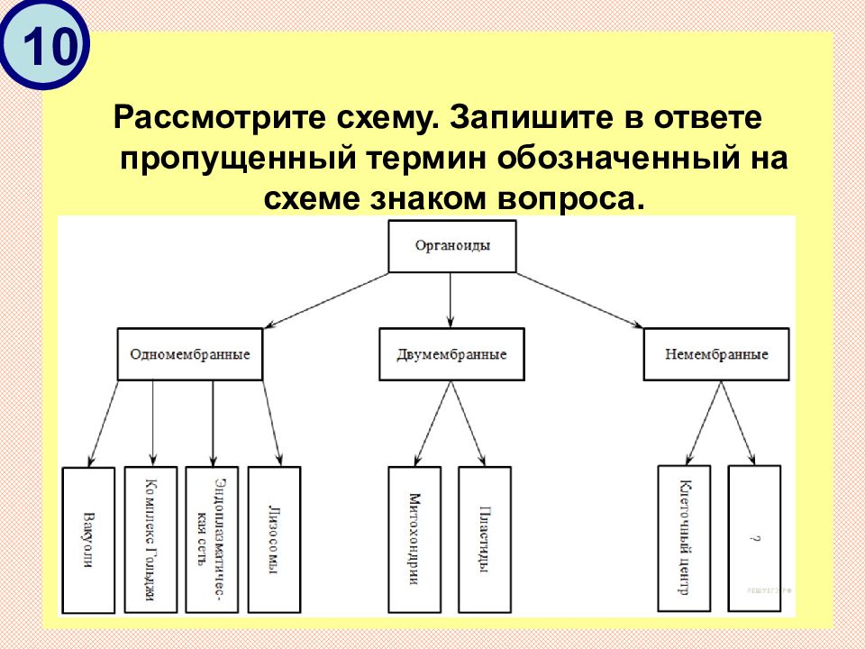 Запишите термин обозначающий. Пропущенный термин, обозначенный на схеме знаком вопроса. Ответ:. Рассмотрите схему. Рассмотрите предложенную схему запишите в ответе пропущенный термин. На схеме знаком вопроса обозначено ….