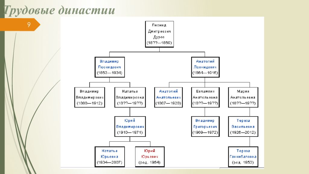 Презентация медицинская династия