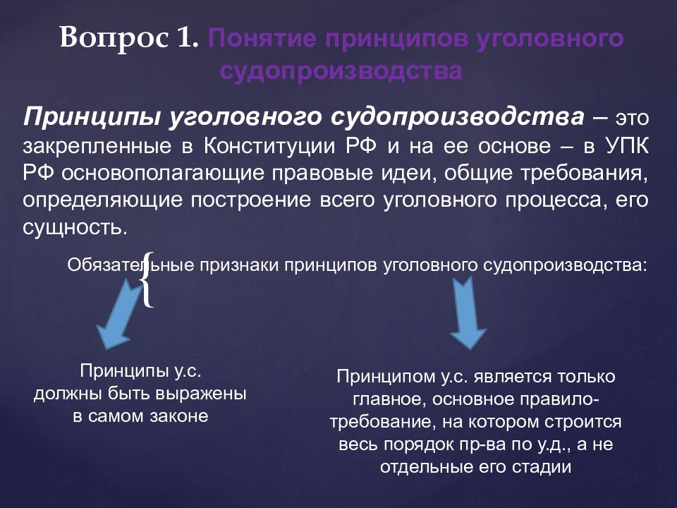 Понятие судопроизводства. Принципы уголовного судопроизводства. Понятие принципов уголовного судопроизводства. Система принципов уголовного процесса. Принципы судопроизводства уголовного процесса.