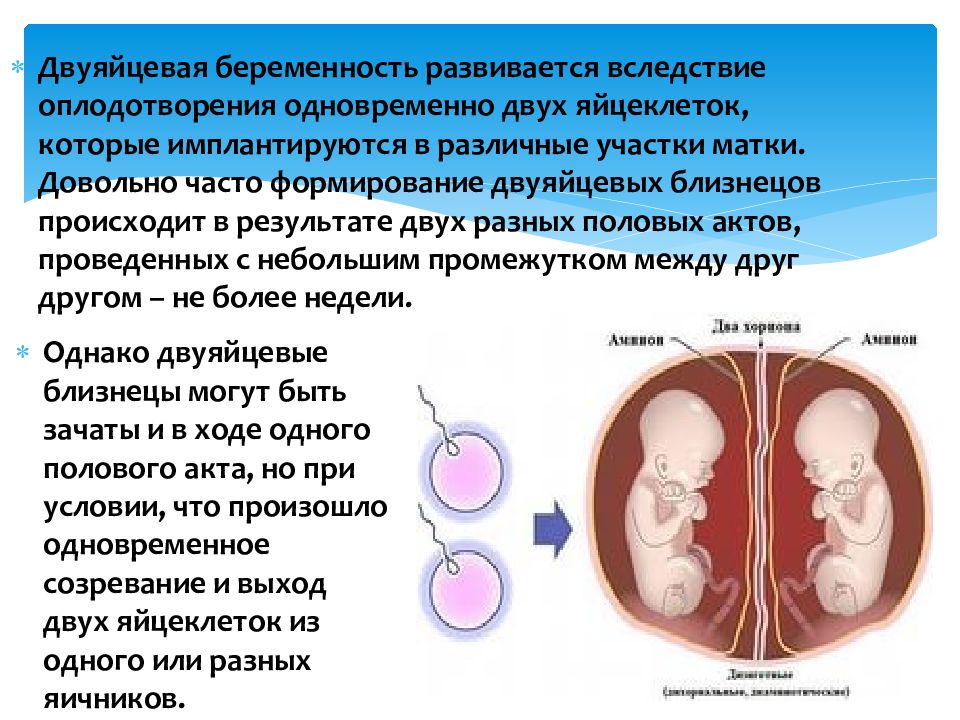 Многоплодная беременность презентация