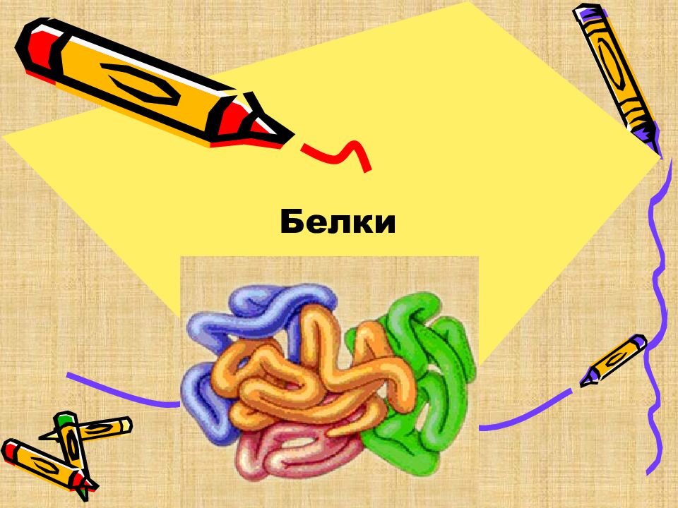 Белки