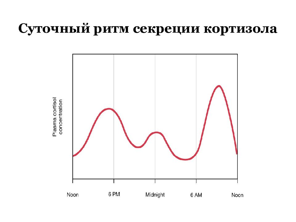 Суточный ритм. Суточный циркадианный ритм секреции кортизола. Суточный ритм секреции кортикотропина. Суточные колебания кортизола. Суточный (циркадный) ритм секреции кортизола.